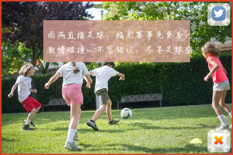 雨燕直播足球，精彩赛事免费看，激情碰撞，不容错过，尽享足球盛宴