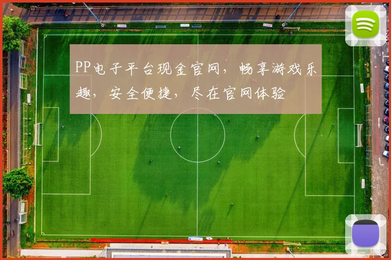 PP电子平台现金官网，畅享游戏乐趣，安全便捷，尽在官网体验