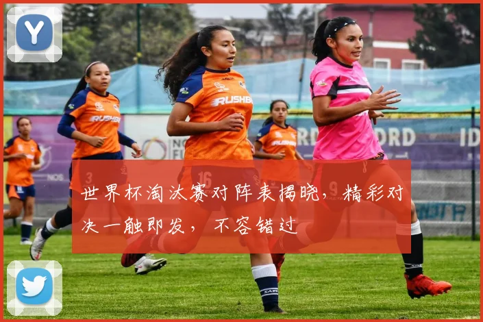 世界杯淘汰赛对阵表揭晓，精彩对决一触即发，不容错过